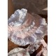 Mademoiselle Pearl Striped Maiden Blouse, JSKs and One Piece(Reservation/Full Payment Without Shipping)